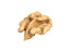 scanned walnut kernel 3D model