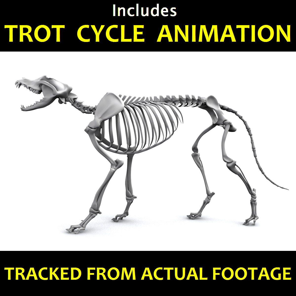 ロイヤリティフリー犬 アニメーション 最高のアニメ画像