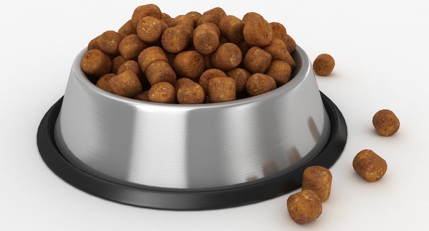 3D bowl dog food 02 TurboSquid 1406752