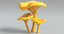 3D mushroom amanita chanterelle morel