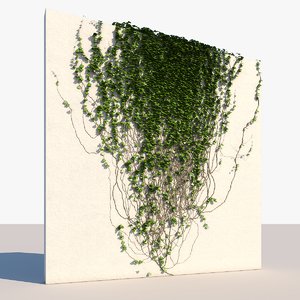3D wall ivy
