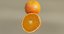 citrus fruit x6 package model