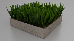 3D grass plant model