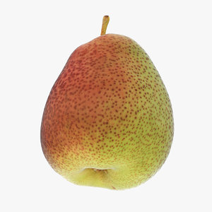 pear vrayforc4d 3D model