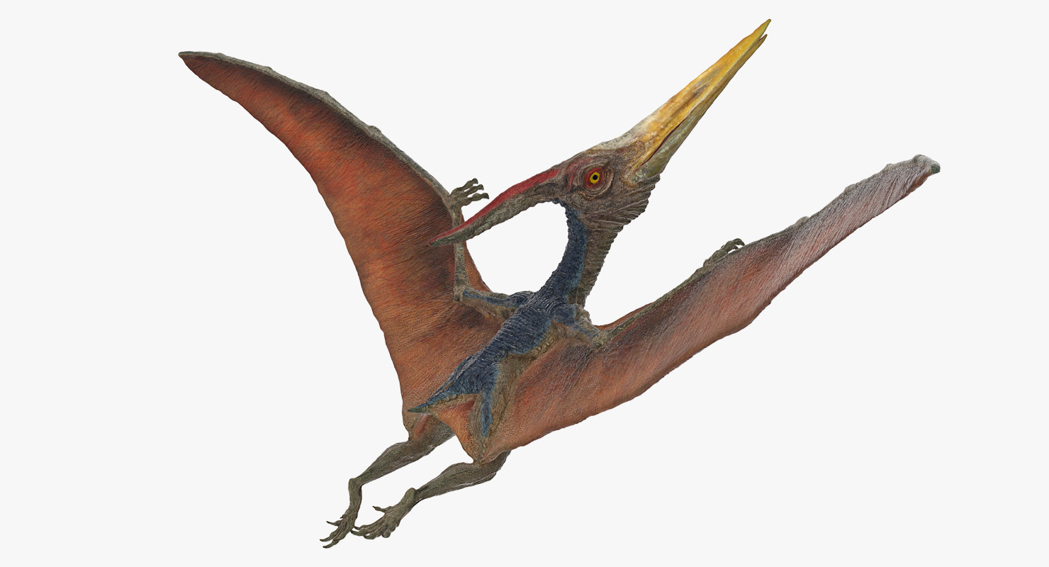 pterodactilo pteranodon