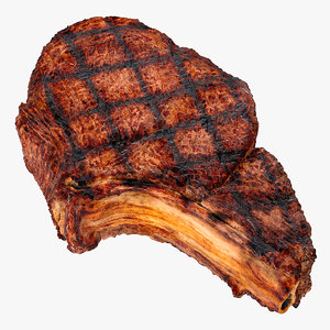 grilled flank steak bone 3D model