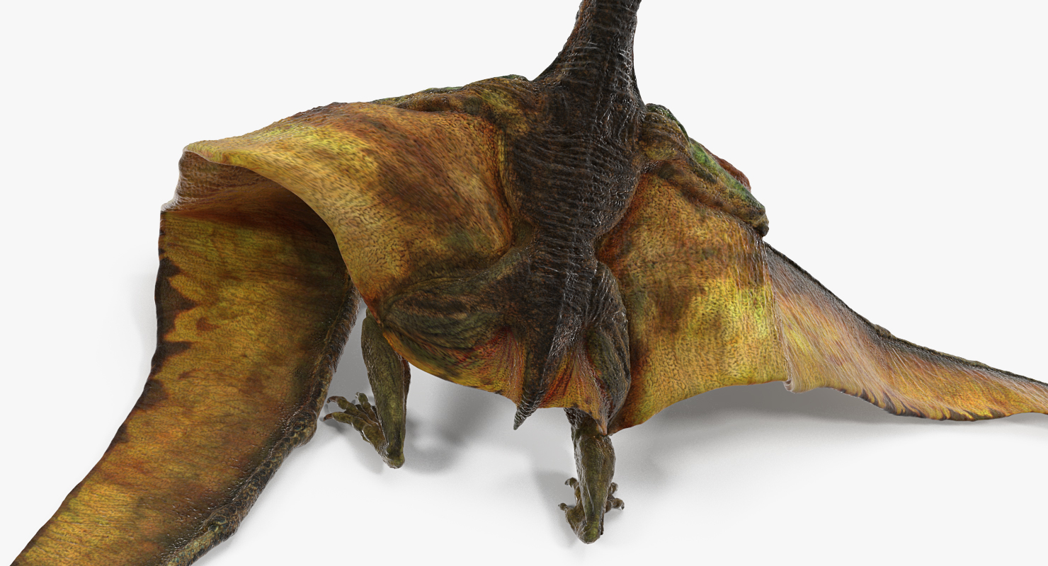 pteranodon carnivore