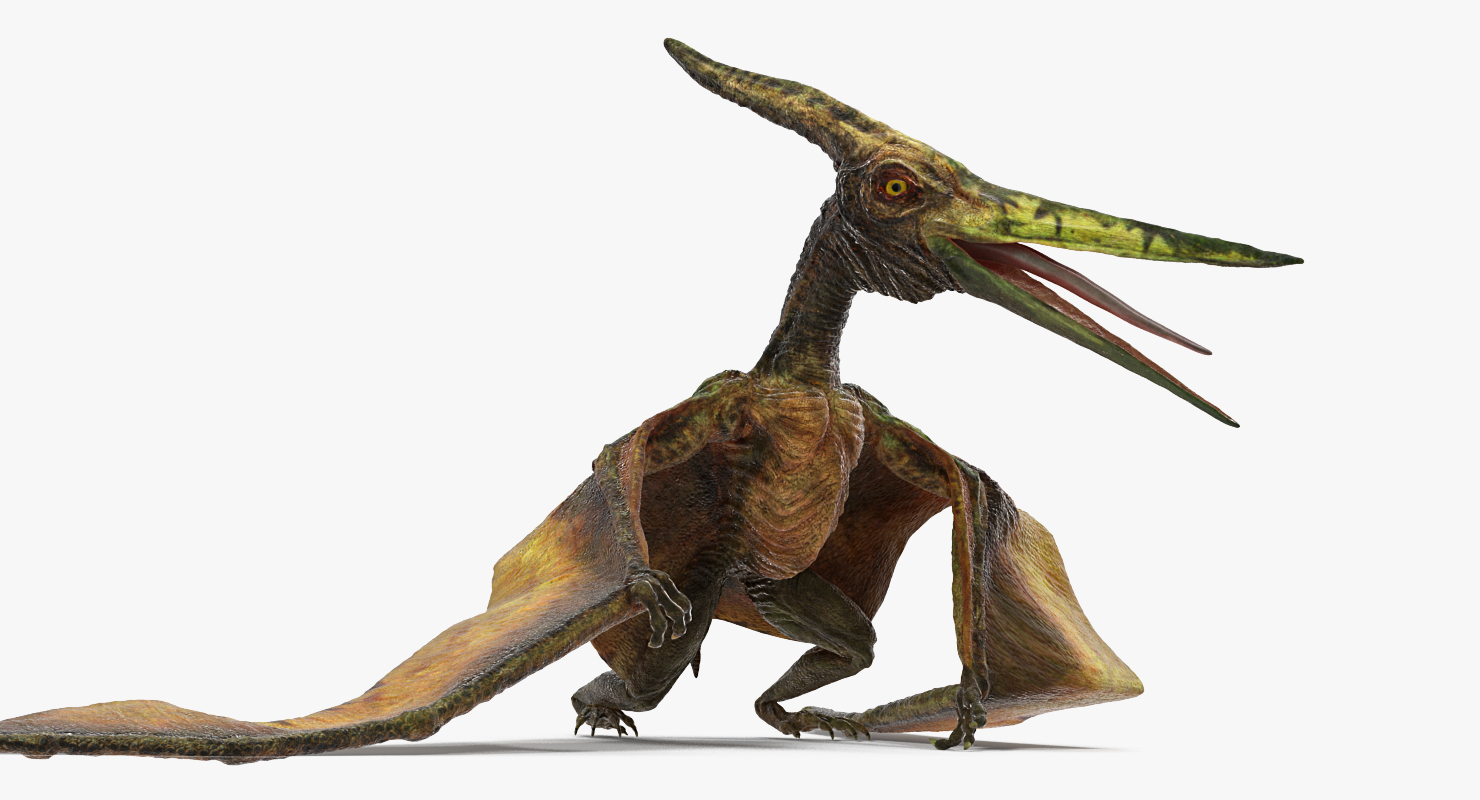 pteranodon 3d