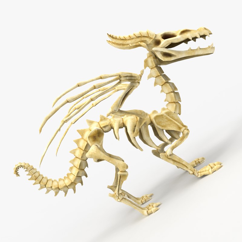 3D bones dragon TurboSquid 1408647
