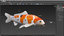 3D model koi fish animation
