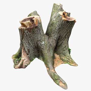 scan tree stump 3D model