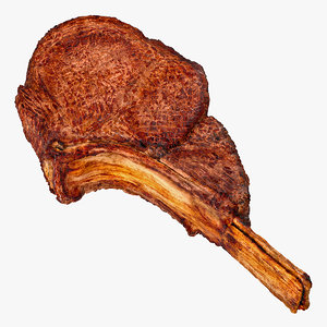 grilled lamb chop model