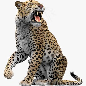 leopard fur 3D model
