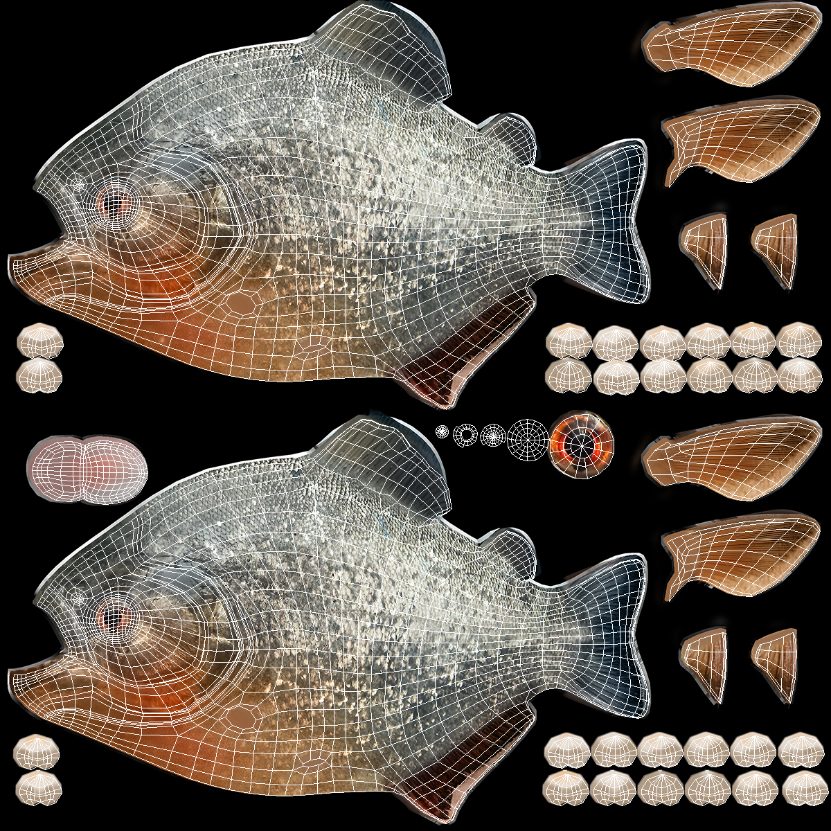 食人鱼3d图片素材-编号04804915-图行天下
