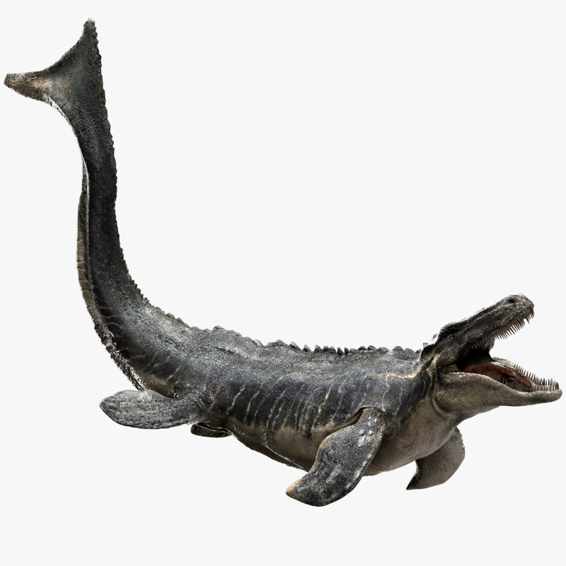 Mosa saurusïŒRiggedïŒ3DæšĄć - TurboSquid 1410286