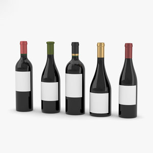 wine bottle model