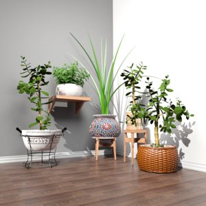 3D plant pot