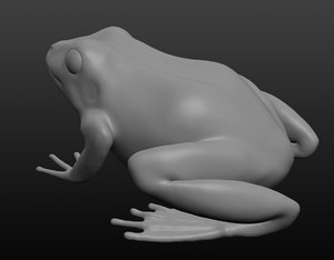 3D frog base mesh model