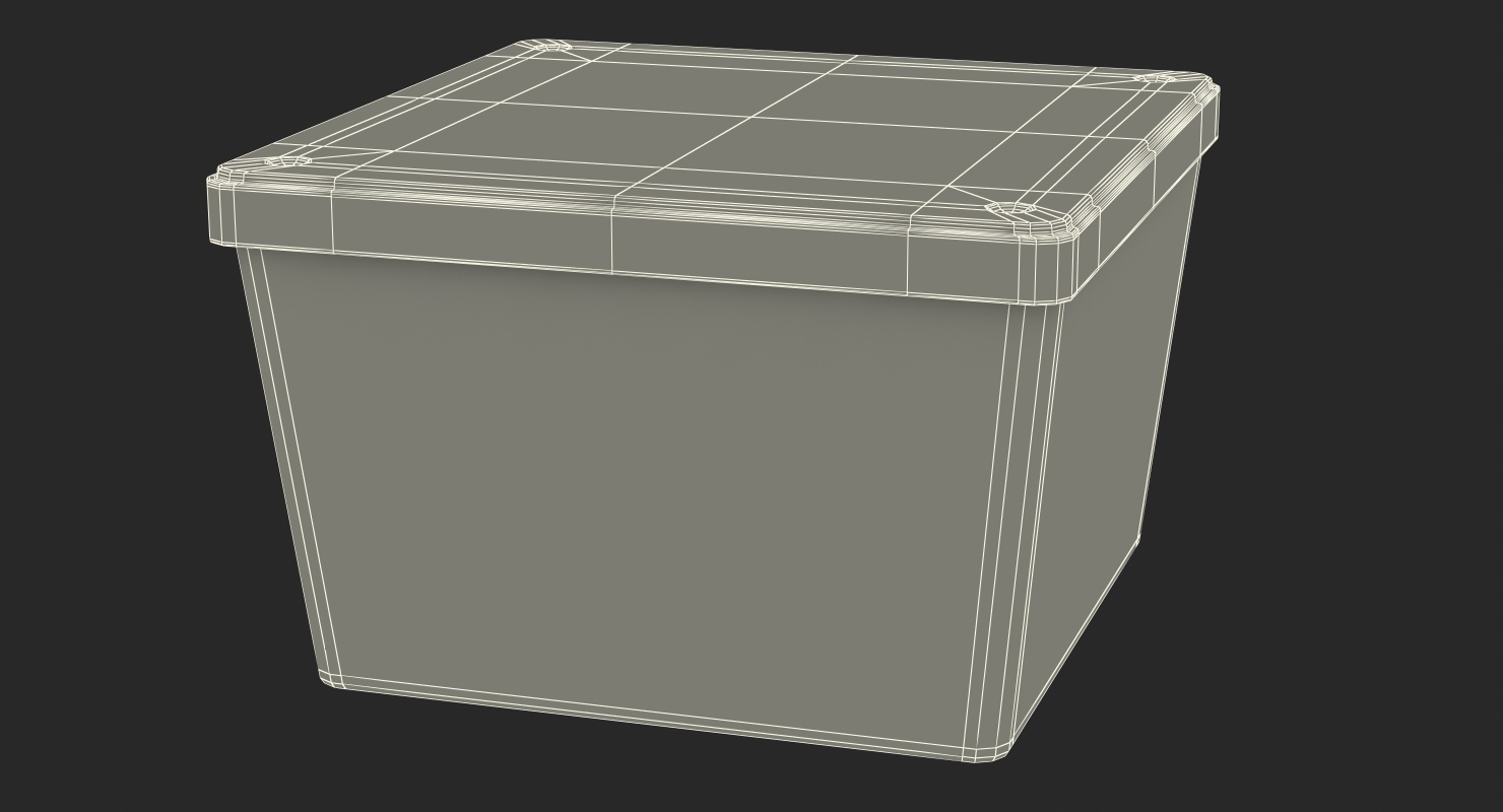 Square plastic box 3D model - TurboSquid 1412696