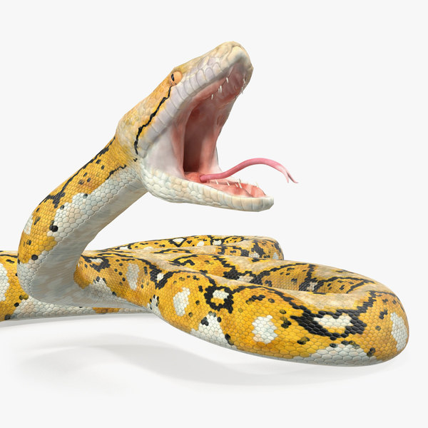 Snake 3D Models for Download TurboSquid