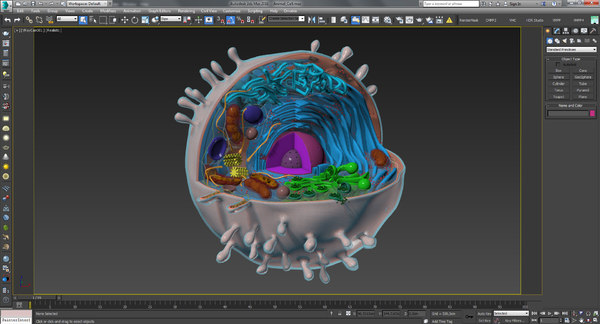 Animal Cell Computer Rendering Komórka zwierzęca Model 3D - TurboSquid 1412295
