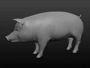 3D pig base mesh
