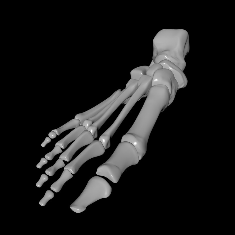 Foot view 3d essay image