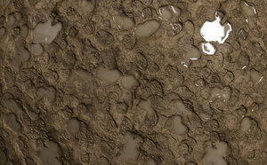 Muddy Ground Texture