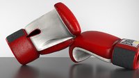 boxing gloves model
