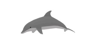 cartoon dolphin 3D