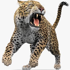 3D leopard fur model