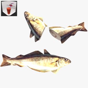 fish whiting games 3D model