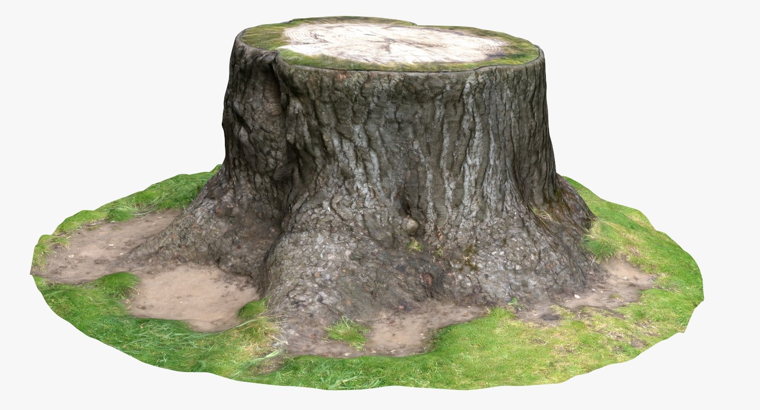 Free tree stump 3D model TurboSquid 1415451