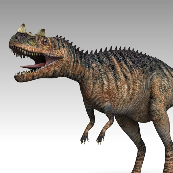 3d Cheetah3d Ceratosaurus