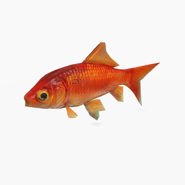 3d model gold fish