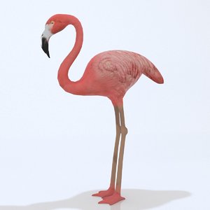 flamingo bird animal 3D model