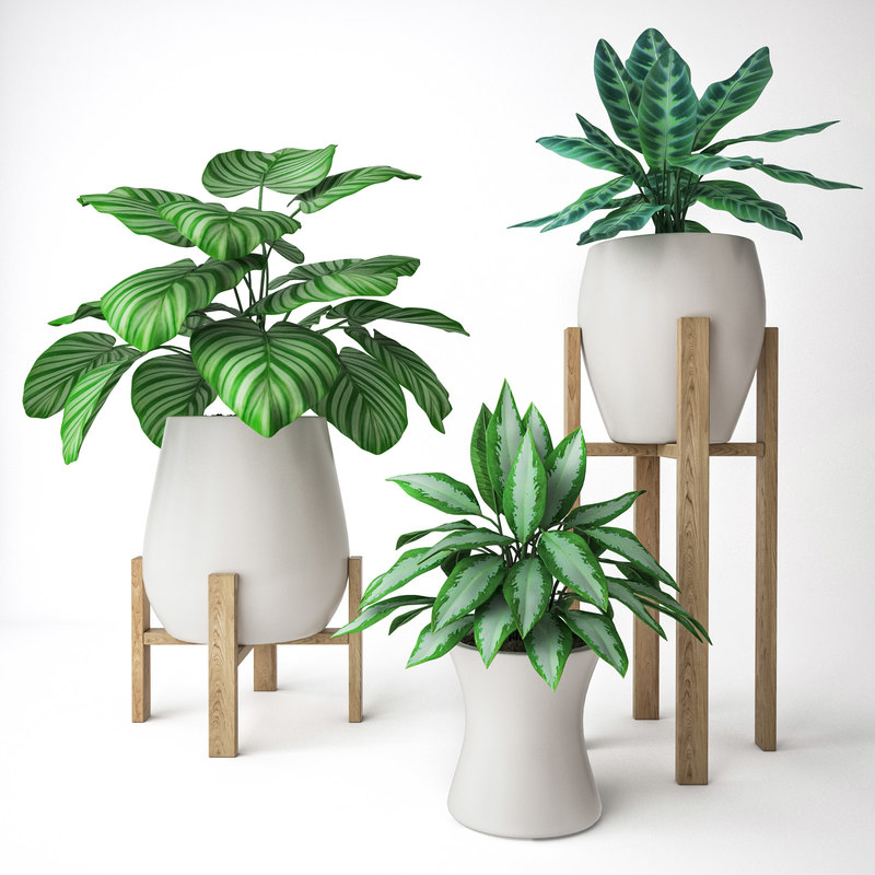 Set plants model - TurboSquid 1415082