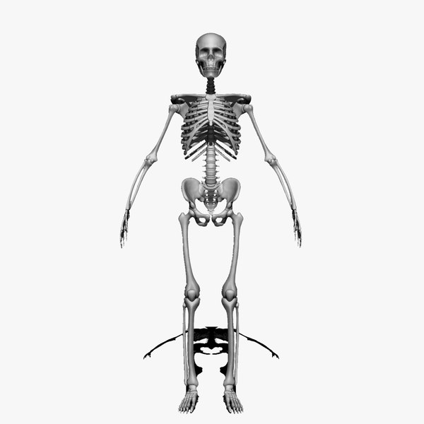 Knee Joint Pain Relief-3 Knee Joint Health Supplements To Eliminate Your Pain