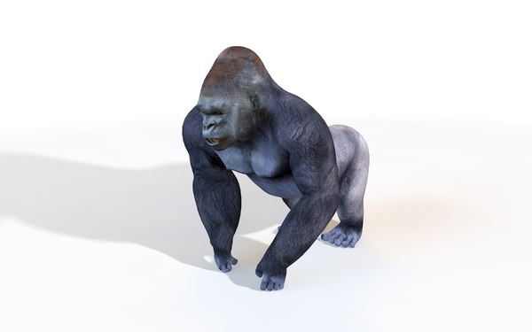 Gorilla 3D Models for Download | TurboSquid