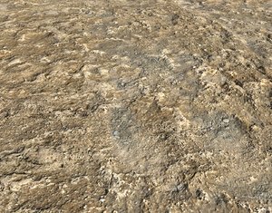 Rough soil and muddy ground PBR