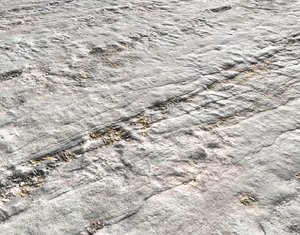 Arid White Ground PBR
