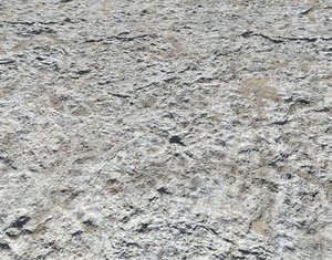 Rough White Ground PBR