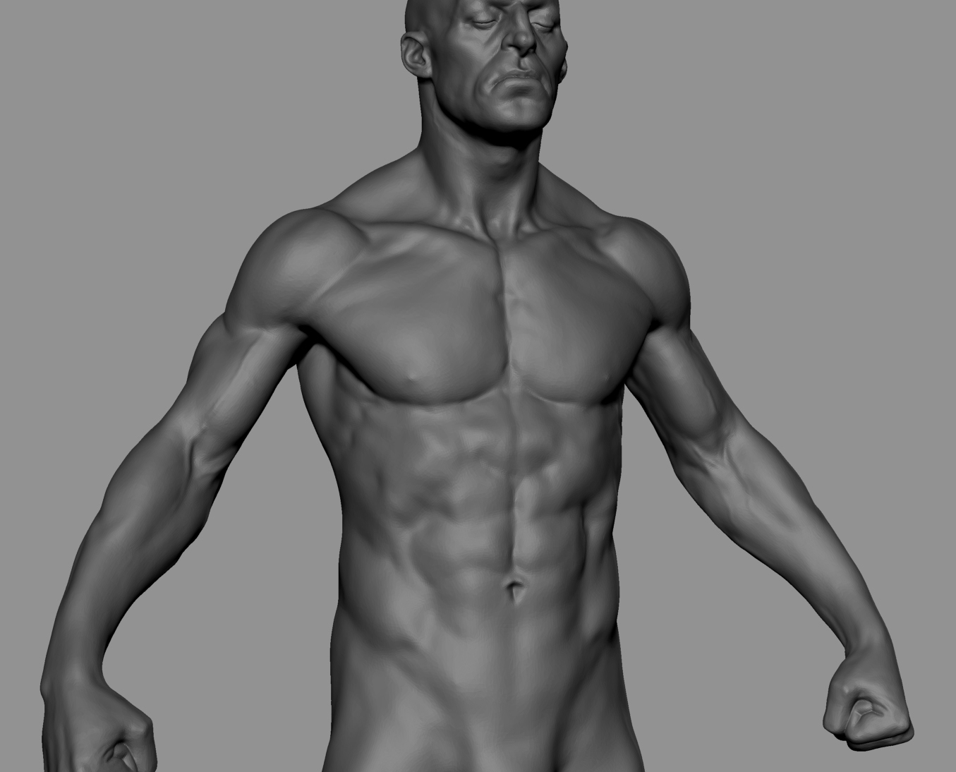 3d anatomy model drawing