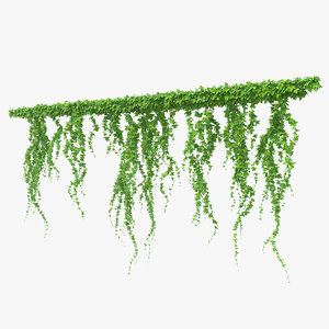 ivy branches 3D model