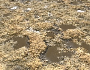Rough dirty ground seamless PBR
