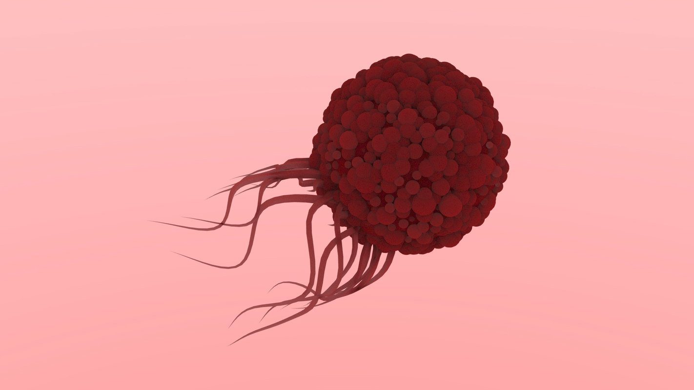 tumor-blood-vessel-3d-model-turbosquid-1416352