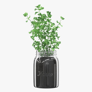 3D parsley glass jar