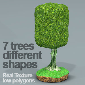 3D seven ficus trees hd