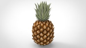 3D model pineapple