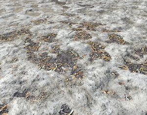 White arid terrain seamless PBR
